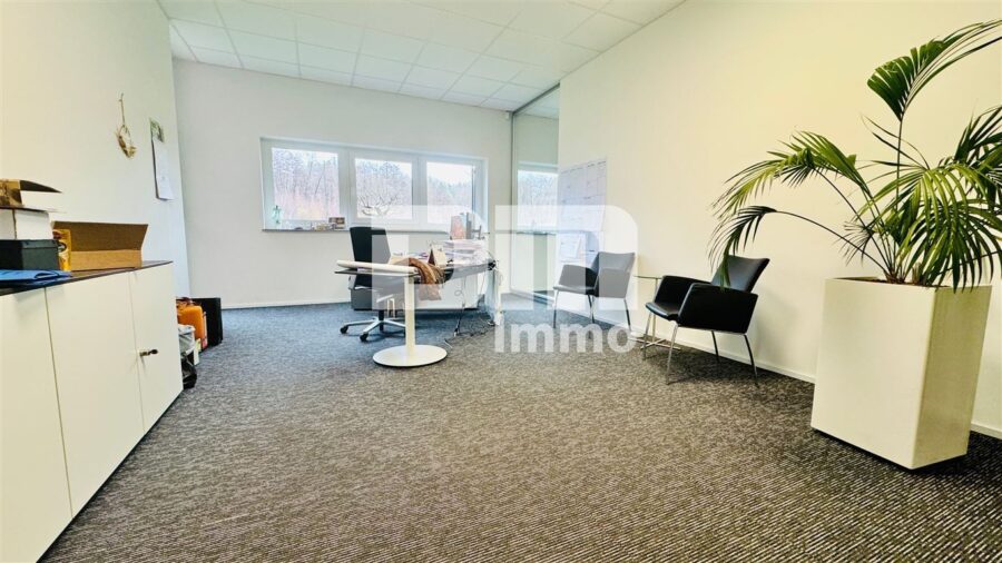 Gewerbeensemble Produktionshallen + Bürogebäude und umfangreiche Freiflächen - Büroraum 2